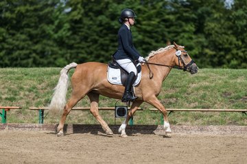Bild 222 - Pony Akademie Turnier